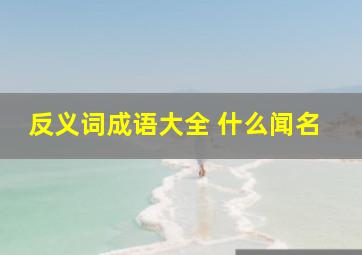 反义词成语大全 什么闻名